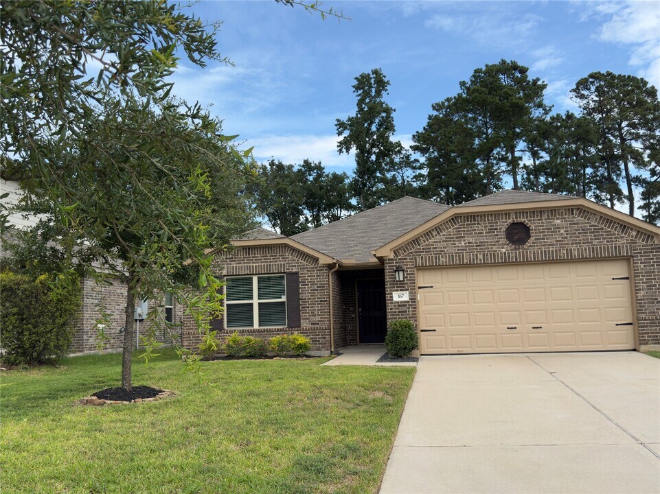 167 Courageous Side Way in Magnolia, TX - Foto de edificio