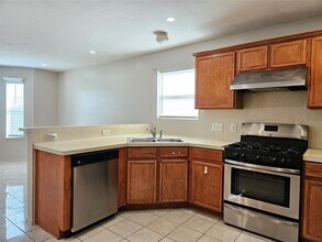 9119 Regents Cove Ct in Houston, TX - Building Photo - Building Photo