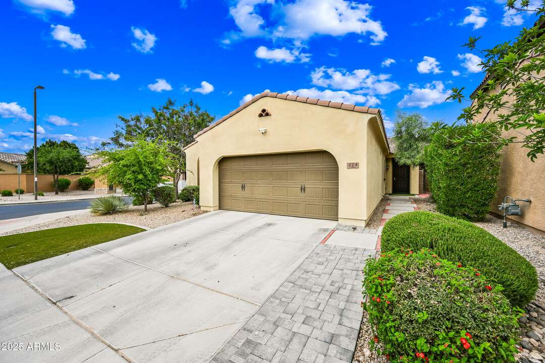 224 E Locust Dr in Chandler, AZ - Foto de edificio
