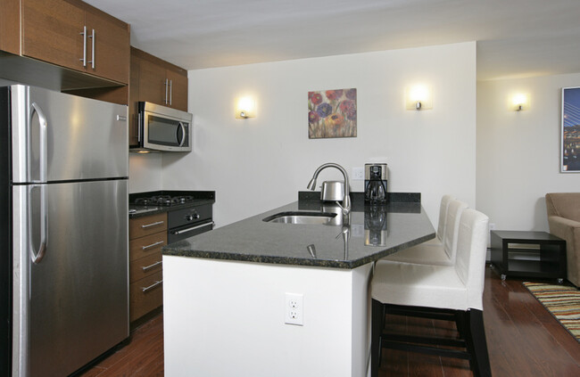 14 E Springfield St, Unit 3 in Boston, MA - Building Photo - Building Photo