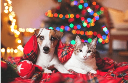 Millennium Edina in Edina, MN - Building Photo - Building Photo