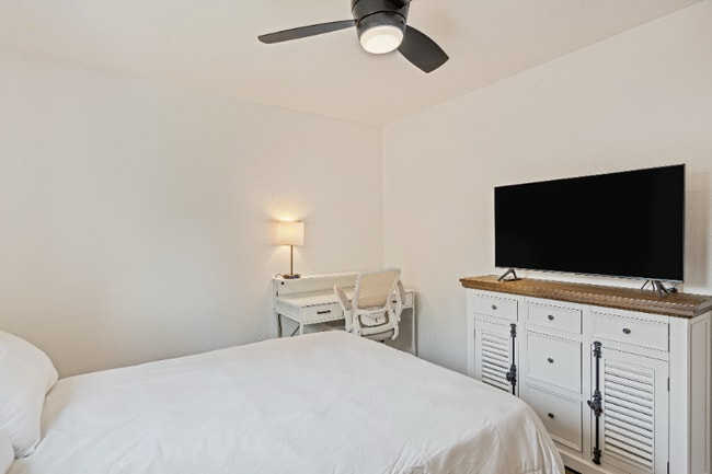 804 Sylvia Ln in Pflugerville, TX - Foto de edificio - Building Photo