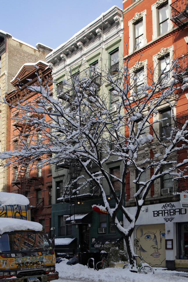 113 Saint Marks Pl in New York, NY - Foto de edificio - Building Photo