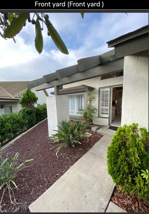 3807 Via Escuda in La Mesa, CA - Building Photo