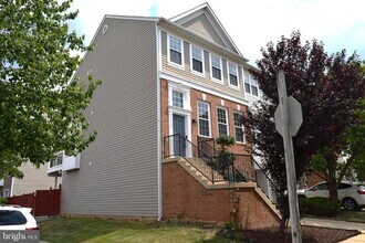 43768 Virginia Manor Terrace in Ashburn, VA - Foto de edificio - Building Photo