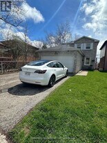 29 Bingham St in Richmond Hill, ON - Building Photo