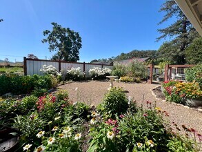 13650 Sonoma Hwy in Glen Ellen, CA - Building Photo - Building Photo