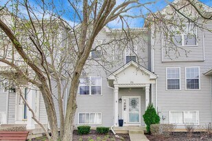 590 Triumph Ct in Hainesville, IL - Building Photo