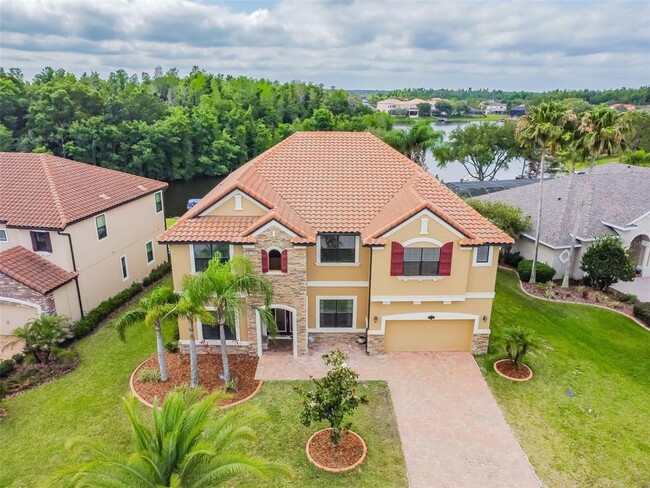 10739 Cory Lake Dr in Tampa, FL - Foto de edificio - Building Photo