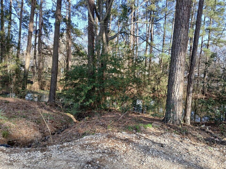 26420 Leisure Ln in Magnolia, TX - Building Photo