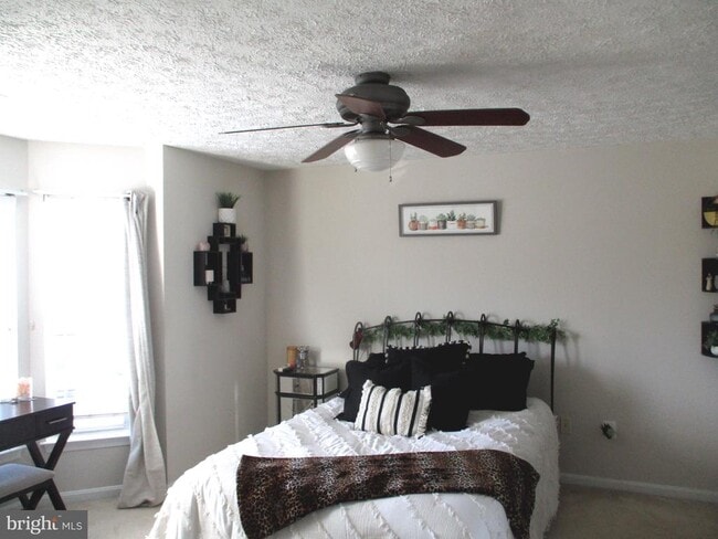 2003 Phillips Terrace in Annapolis, MD - Building Photo - Building Photo