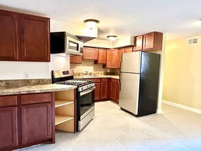 1754 Euclid St NW in Washington, DC - Building Photo - Building Photo
