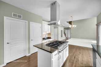351 Tiger St in Bolingbrook, IL - Building Photo - Building Photo