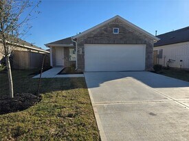26915 Dalmatian Bellflower Dr in Katy, TX - Building Photo