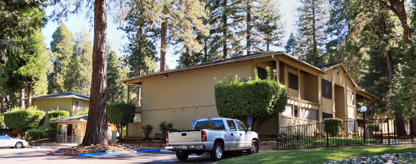 Foresthill Apartments in Foresthill, CA - Building Photo