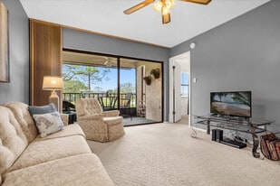 6084 Willowpointe Cir, Unit SI ID1501435P in Orlando, FL - Building Photo