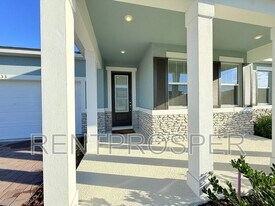 2633 Ginseng Ivy St in Apopka, FL - Building Photo