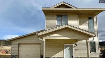 275 Chisholm Way in Alma, CO - Building Photo