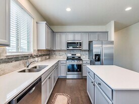 504 Saturnia Dr in Georgetown, TX - Building Photo