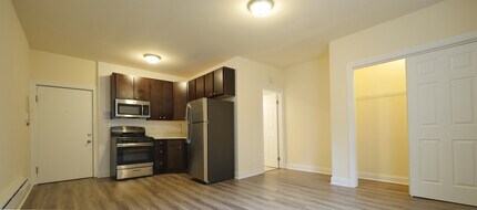 2934 W Palmer St in Chicago, IL - Building Photo - Building Photo