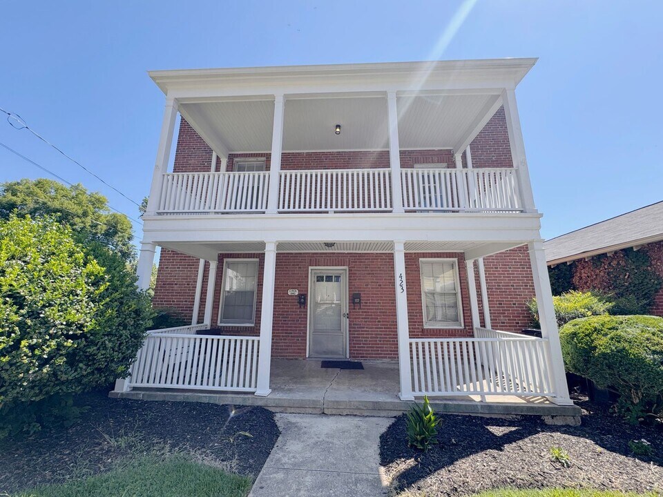 423 Chestnut St in Danville, VA - Building Photo