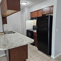 205 Berry Tree Pl in Brandon, FL - Building Photo