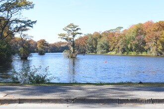 2109 Wisteria Dr in Wilmington, NC - Foto de edificio - Building Photo