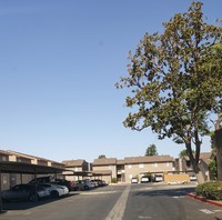 4200 Parkwood Ct in Bakersfield, CA - Foto de edificio - Building Photo