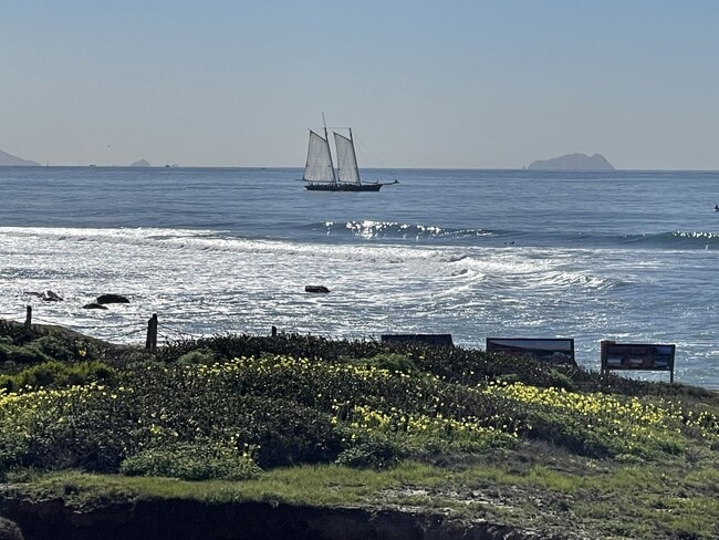 4878 Pescadero Ave in San Diego, CA - Building Photo - Building Photo