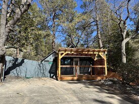 52800 Sugar Pine Dr in Idyllwild, CA - Building Photo
