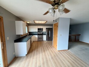 4141 Jacquelyn Dr in Lincoln, NE - Foto de edificio - Building Photo