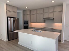 17609 Japonica Bloom Dr in Oakland, FL - Building Photo - Building Photo