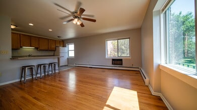 Parkview Apartments in Madison, WI - Building Photo - Building Photo