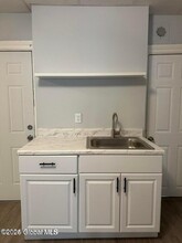 39 Douw St in Troy, NY - Building Photo - Building Photo