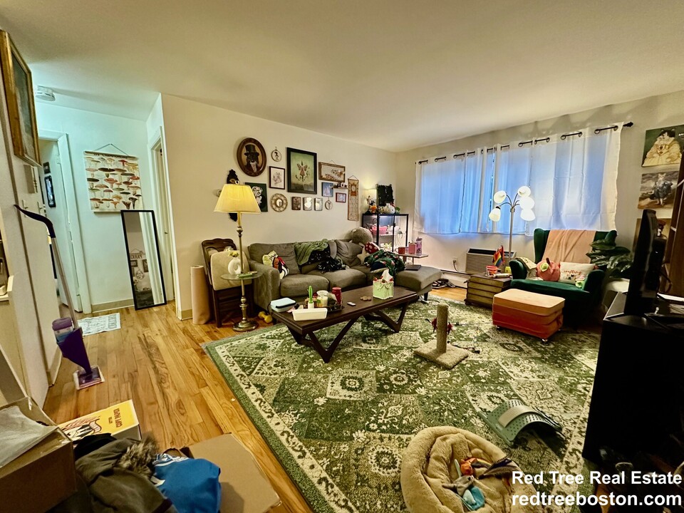 245 Kelton St, Unit 23 in Boston, MA - Foto de edificio