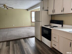 407 Carroll St in Pawnee, IL - Building Photo - Building Photo