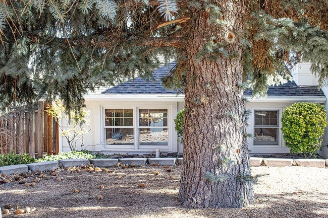 3257 Kingfisher Dr in Reno, NV - Building Photo - Building Photo