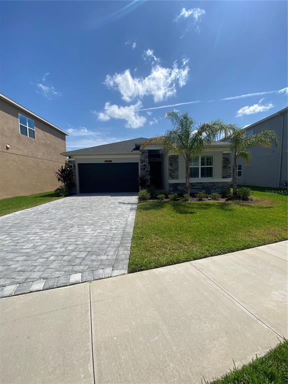 3472 Great Banyan Way in Wesley Chapel, FL - Building Photo - Building Photo