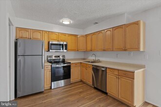 2142 Cartwright Pl in Reston, VA - Building Photo - Building Photo