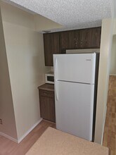 1006 Kara Dr in Champaign, IL - Building Photo - Building Photo