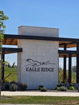 8108 W Grey Alder Dr in Eagle, ID - Building Photo