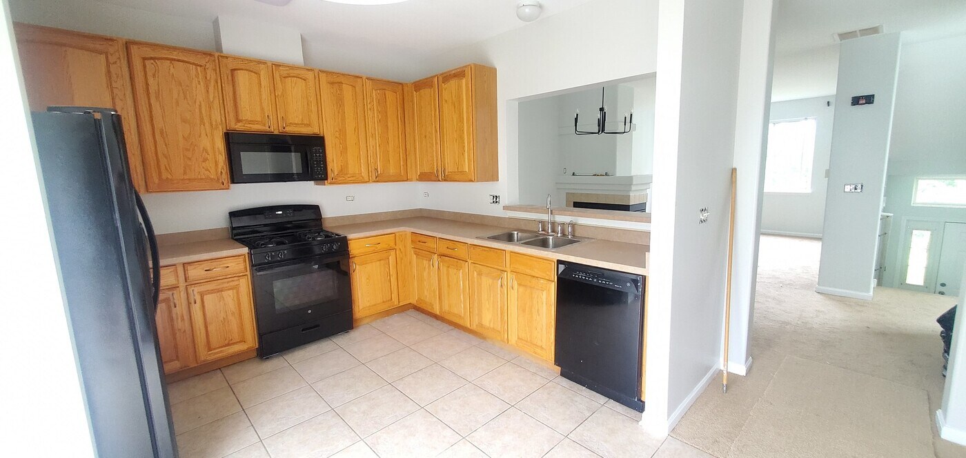 587 S Parkside Dr in Round Lake, IL - Building Photo