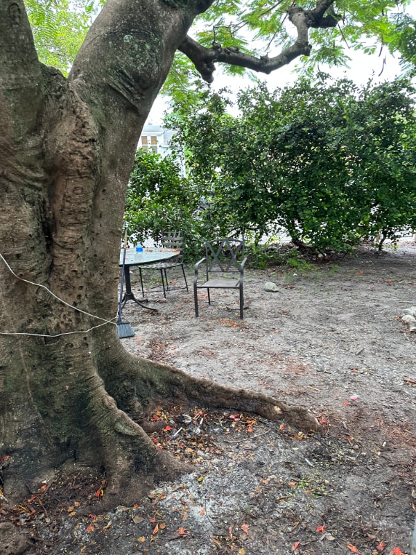 1918 Sheridan St in Hollywood, FL - Foto de edificio - Building Photo