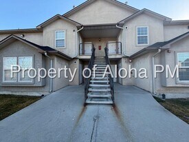 1037 W Pine Ave in Meridian, ID - Building Photo