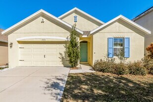 10005 Geese Trail Cir in Sun City Center, FL - Building Photo