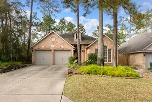 55 N Crossed Birch Pl in The Woodlands, TX - Building Photo