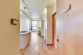 910 S Michigan Ave in Chicago, IL - Building Photo - Building Photo