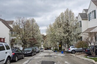 327 Thyme Ln in Philadelphia, PA - Building Photo - Building Photo