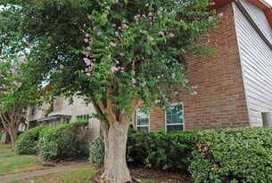 7853 Fuqua St in Houston, TX - Building Photo