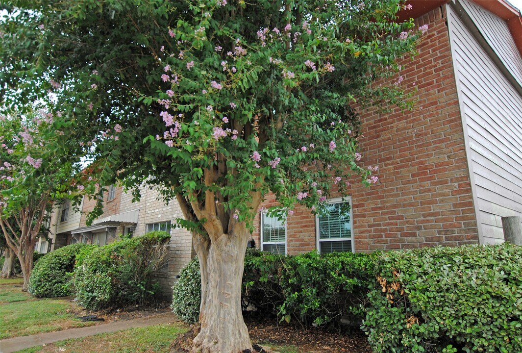 7853 Fuqua St in Houston, TX - Building Photo